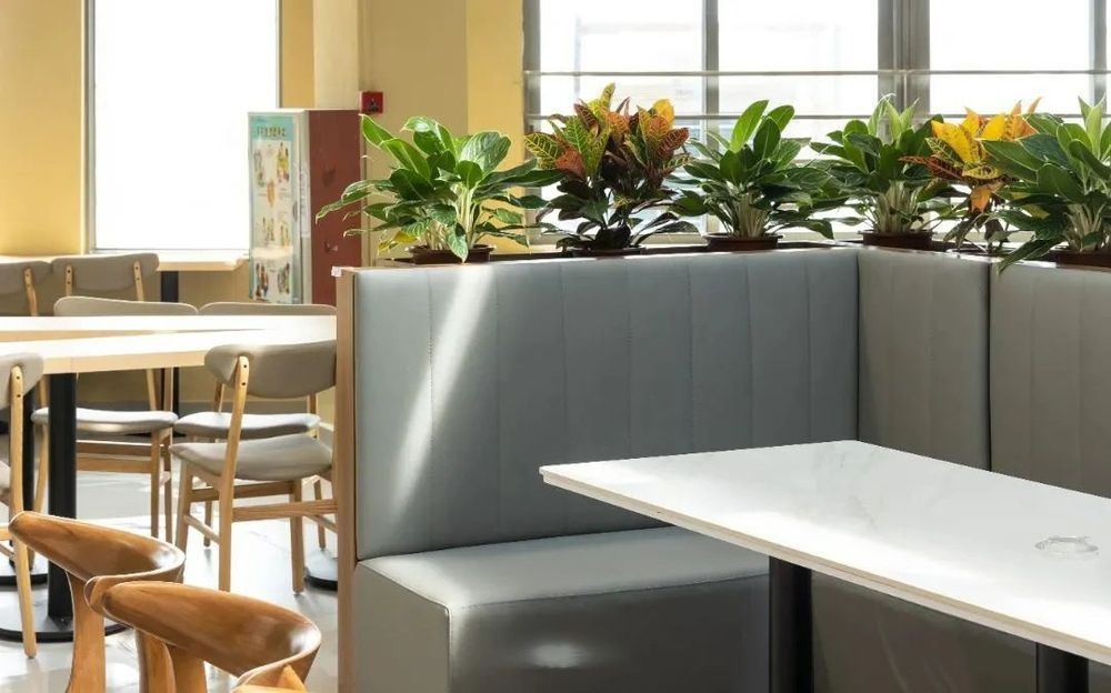 廣州天省實(shí)驗學(xué)校